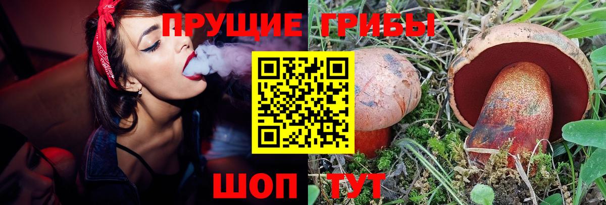 Галлюциногенные грибы MAGIC MUSHROOMS  Вход с VPN  Зерноград 