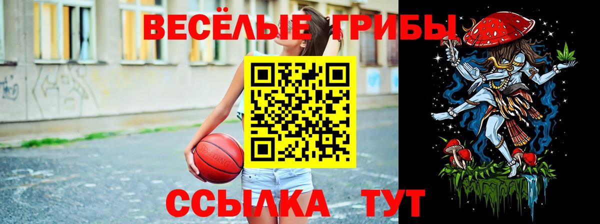 Псилоцибиновые грибы Cubensis Зерноград